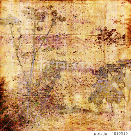 art floral vintage colorful background 4810519