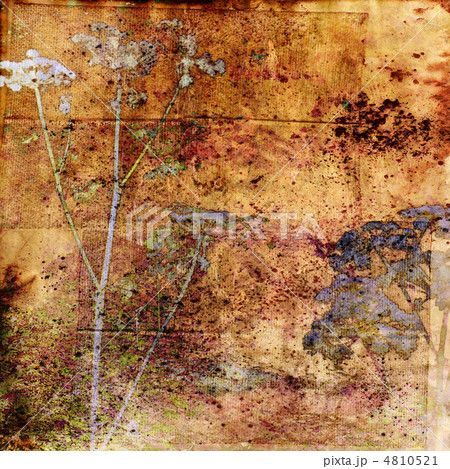 art floral vintage colorful background art floral vintage colorful background 4810521