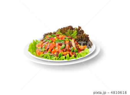 Vegetable Salad 4810618