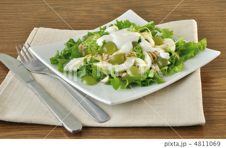Light salad with yogurt 4811069