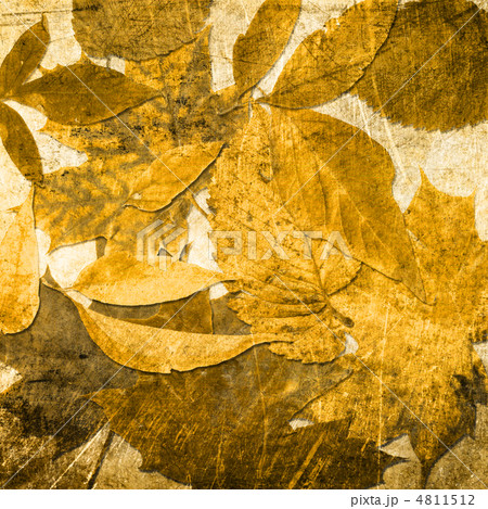 art floral leaves vintage background 4811512