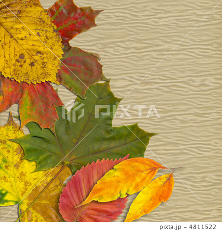 art floral autumn vintage background 4811522