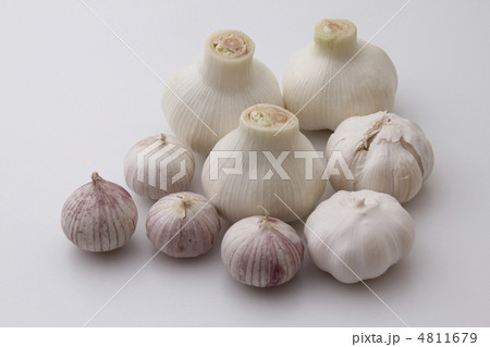 ニンニク 4811679