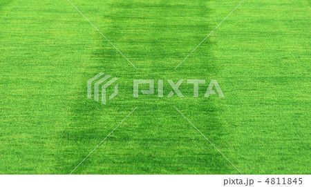 grass background grass background 4811845