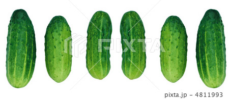 Cucumber on White Background Cucumber on White Background 4811993