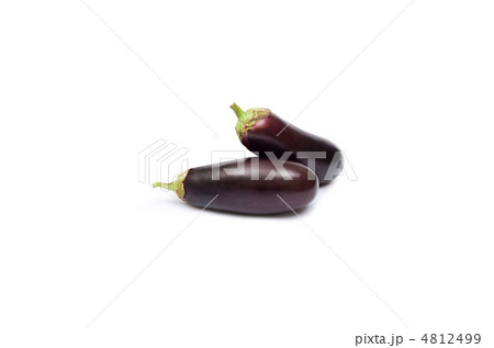 eggplants isolated on white background 4812499