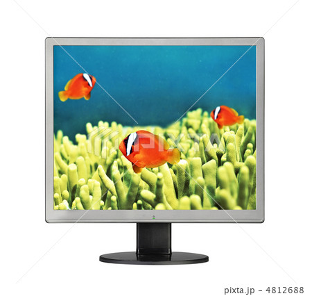 Goldfishes in aquarium in LCD monitor 4812688