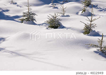 fresh snow in the mountains 4812949
