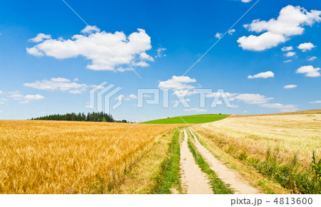 agriculture landscape 4813600
