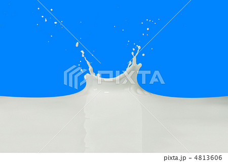 milk splash milk splash 4813606
