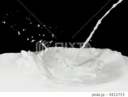 milk splash milk splash 4813755