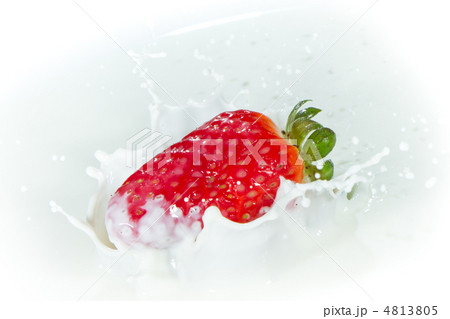 strawberry splashing into milk strawberry splashing into milk 4813805