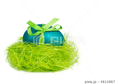 easter egg in nest easter egg in nest 4813867