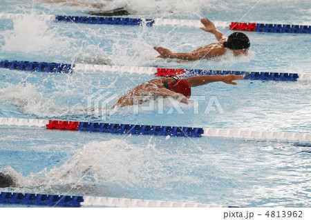 バタフライ バタフライ 4813962