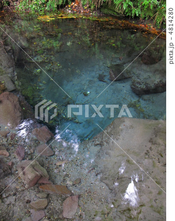 男池湧水群の秋 4814280
