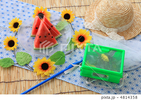夏 4814358