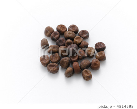 赤えんどう 4814398