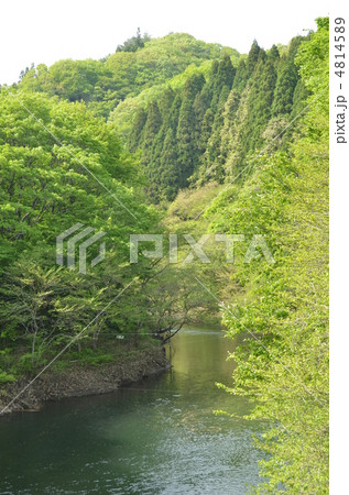 花園渓谷 4814589