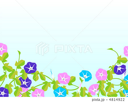 アサガオ 4814922