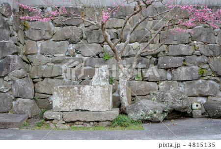 北条政子産湯の井戸 北条政子産湯の井戸 4815135