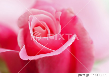 マルコポーロ 4815222