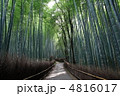 京都の嵯峨野の竹林の道 4816017