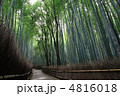 京都の嵯峨野の竹林の道 4816018