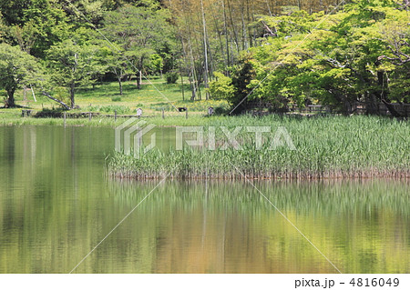 春の嵯峨野散策　水景色　広沢 4816049