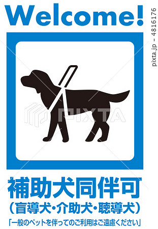 補助犬-31 補助犬-31 4816176