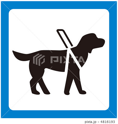 補助犬-48 4816193