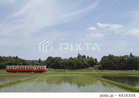 春の小湊鉄道 4816308