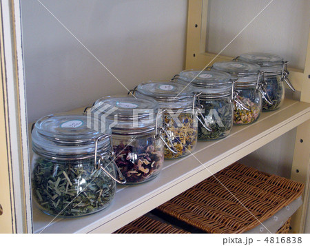 ハーブティー 4816838