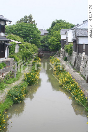 五月の八幡堀 4817476