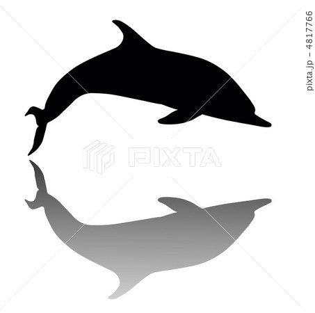 Dolphin 4817766