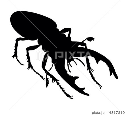 Beetle deer 4817810
