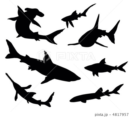 Sharks silhouettes. 4817957
