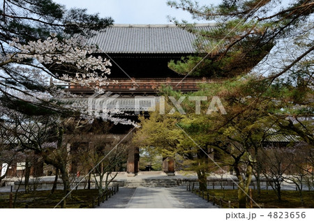 南禅寺、春の三門と参道 4823656