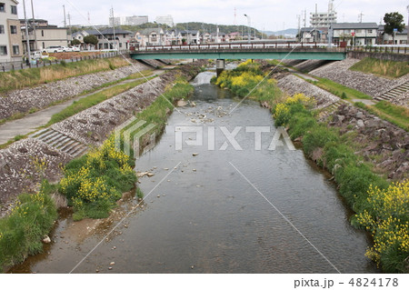 【春の内津川放流路】 【春の内津川放流路】 4824178