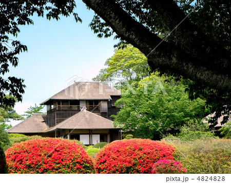 キリシマツツジと好文亭 (横カット～フレームは左近の桜です。) 4824828