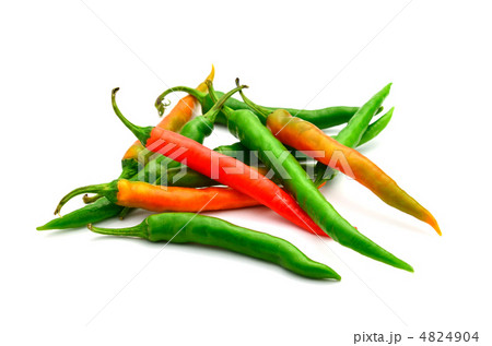 赤唐辛子　青唐辛子 4824904