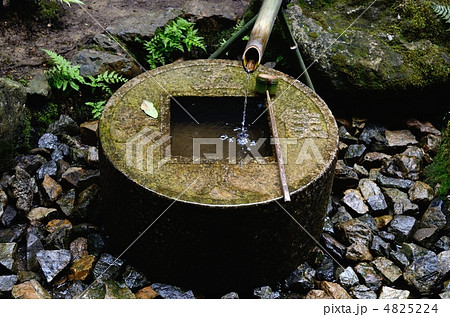 龍安寺、つくばい 4825224