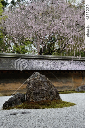 龍安寺、石庭の石 龍安寺、石庭の石 4825229