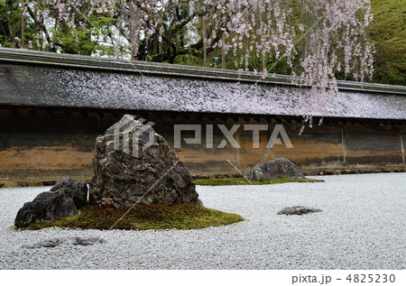 龍安寺、石庭の石 4825230