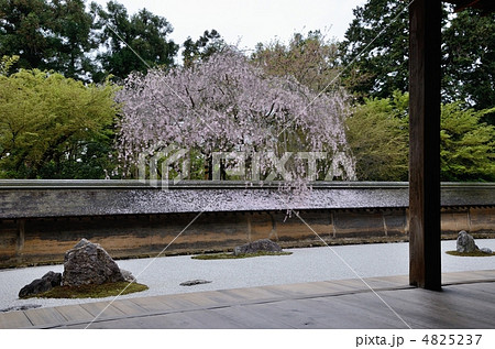 龍安寺、縁側と石庭 龍安寺、縁側と石庭 4825237