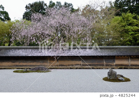 龍安寺、春の石庭 龍安寺、春の石庭 4825244