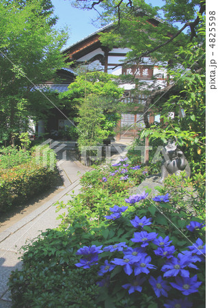 退蔵院3 4825598