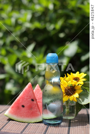 夏の風物詩 4825847