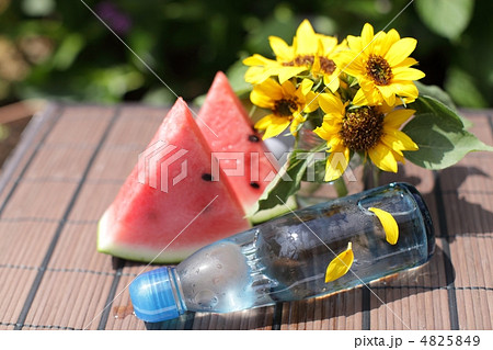 夏の風物詩 4825849