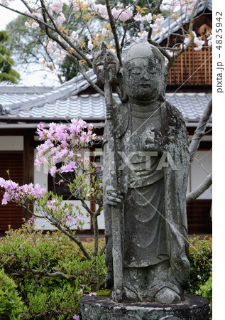 五智山蓮華寺の石仏 五智山蓮華寺の石仏 4825942
