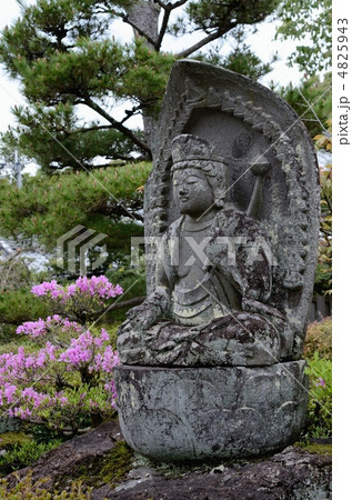 五智山蓮華寺の石仏 4825943